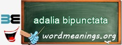 WordMeaning blackboard for adalia bipunctata